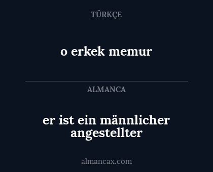 o erkek memur - er ist ein männlicher angestellter