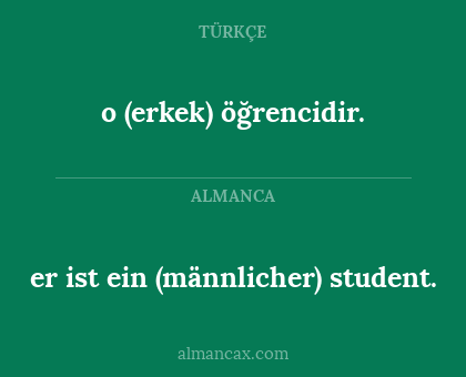 er ist ein (männlicher) student. - o (erkek) öğrencidir.