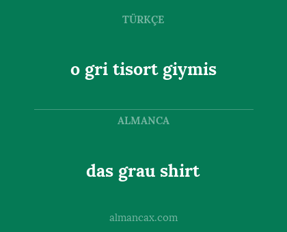 das grau shirt - o gri tisort giymis