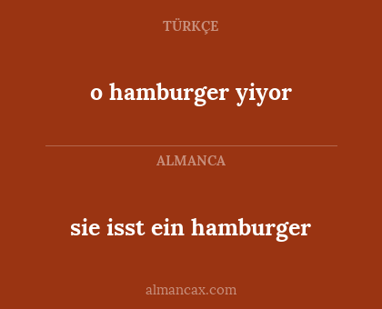 o hamburger yiyor - sie isst ein hamburger