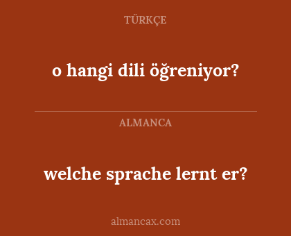 welche sprache lernt er? - o hangi dili öğreniyor?
