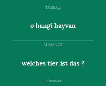 welches tier ist das ? - o hangi hayvan