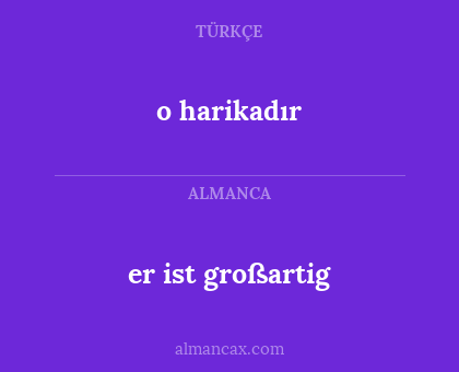 o harikadır - er ist großartig