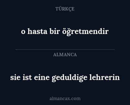 sie ist eine geduldige lehrerin - o hasta bir öğretmendir