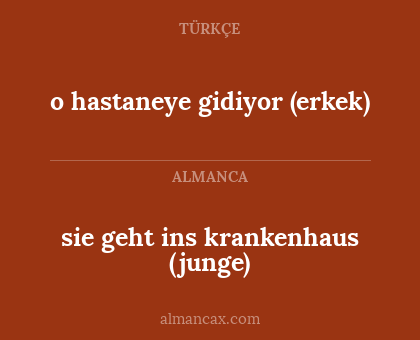 sie geht ins krankenhaus (junge) - o hastaneye gidiyor (erkek)