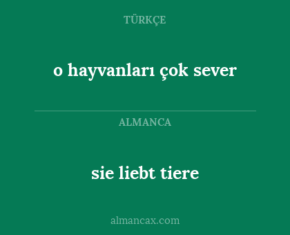 o hayvanları çok sever - sie liebt tiere