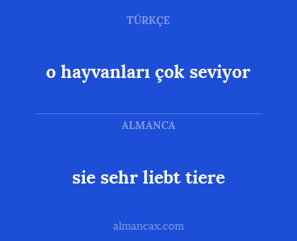 o hayvanları çok seviyor - sie sehr liebt tiere