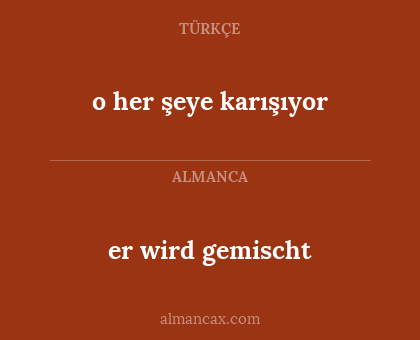 o her şeye karışıyor - er wird gemischt