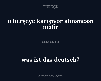 was ist das deutsch? - o herşeye karışıyor almancası nedir