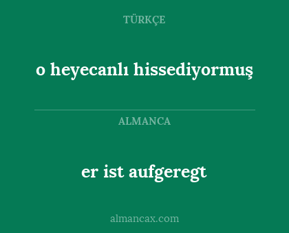 o heyecanlı hissediyormuş - er ist aufgeregt
