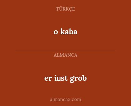 er i̇st grob - o kaba
