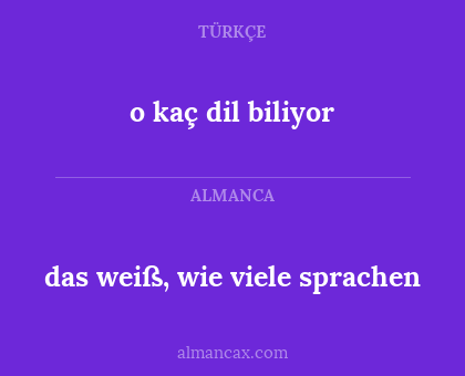das weiß, wie viele sprachen - o kaç dil biliyor