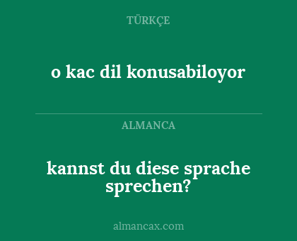 kannst du diese sprache sprechen? - o kac dil konusabiloyor