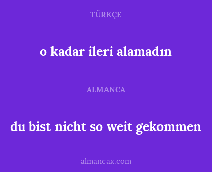o kadar ileri alamadın - du bist nicht so weit gekommen