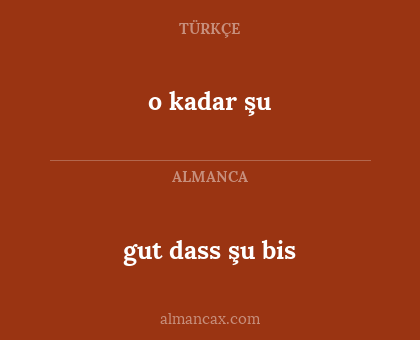 o kadar şu - gut dass şu bis