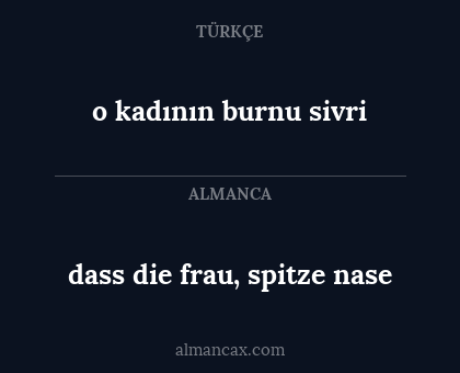 dass die frau, spitze nase - o kadının burnu sivri