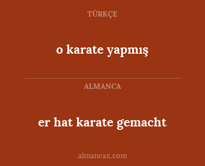 o karate yapmış - er hat karate gemacht
