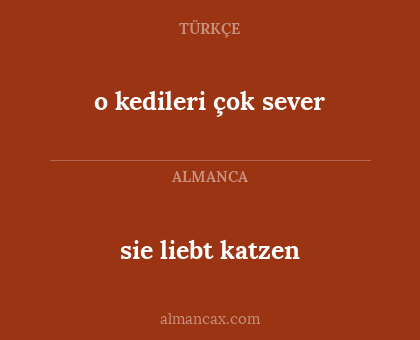 sie liebt katzen - o kedileri çok sever