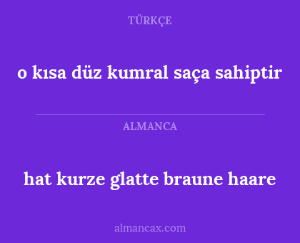 hat kurze glatte braune haare - o kısa düz kumral saça sahiptir