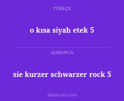 sie kurzer schwarzer rock 5 - o kısa siyah etek 5