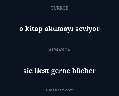 sie liest gerne bücher - o kitap okumayı seviyor