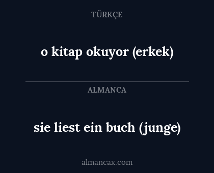 o kitap okuyor (erkek) - sie liest ein buch (junge)