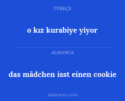 das mädchen isst einen cookie - o kız kurabiye yiyor