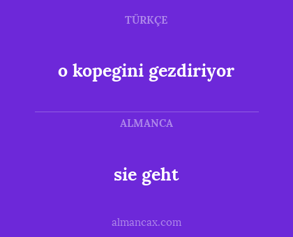 sie geht - o kopegini gezdiriyor