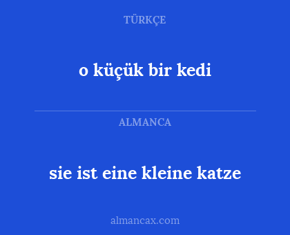 sie ist eine kleine katze - o küçük bir kedi