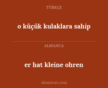 er hat kleine ohren - o küçük kulaklara sahip