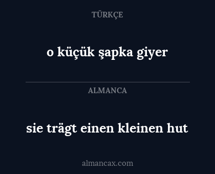 sie trägt einen kleinen hut - o küçük şapka giyer