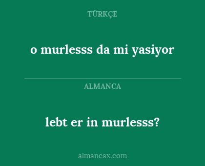 lebt er in murlesss? - o murlesss da mi yasiyor