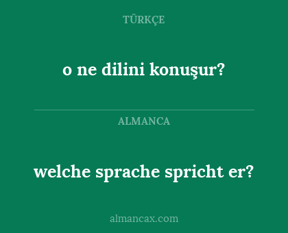 welche sprache spricht er? - o ne dilini konuşur?