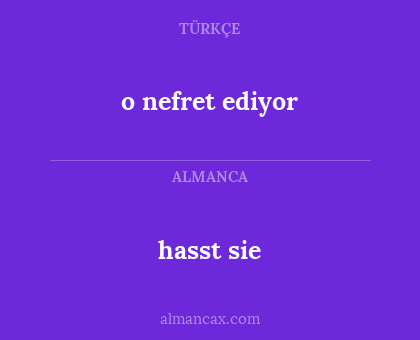 hasst sie - o nefret ediyor