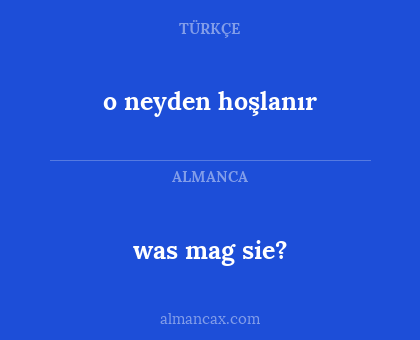 o neyden hoşlanır - was mag sie?
