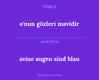 seine augen sind blau - o'nun gözleri mavidir