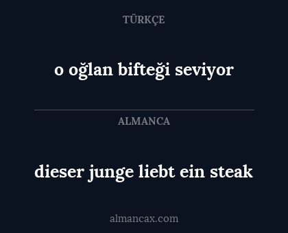 o oğlan bifteği seviyor - dieser junge liebt ein steak