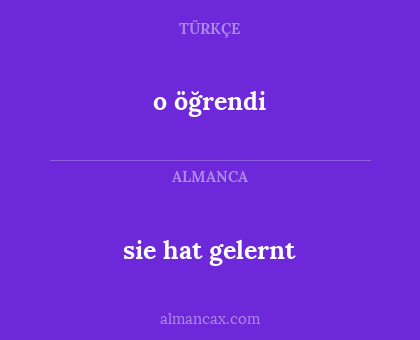 o öğrendi - sie hat gelernt