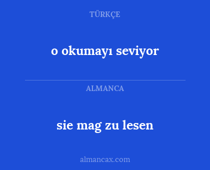 sie mag zu lesen - o okumayı seviyor