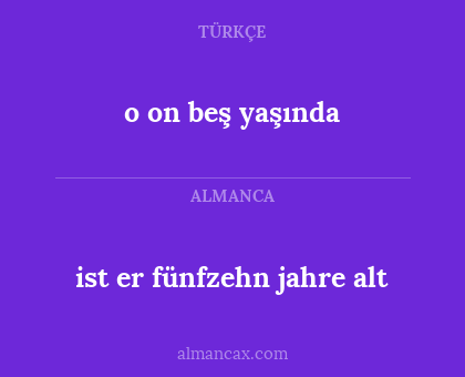 ist er fünfzehn jahre alt - o on beş yaşında