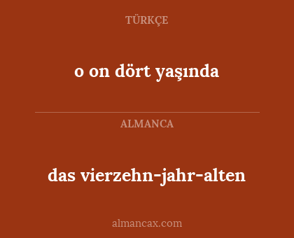 das vierzehn-jahr-alten - o on dört yaşında