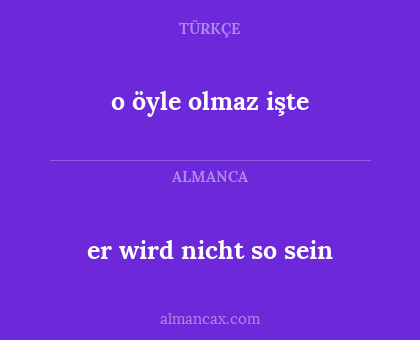 er wird nicht so sein - o öyle olmaz işte