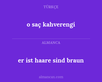 er ist haare sind braun - o saç kahverengi