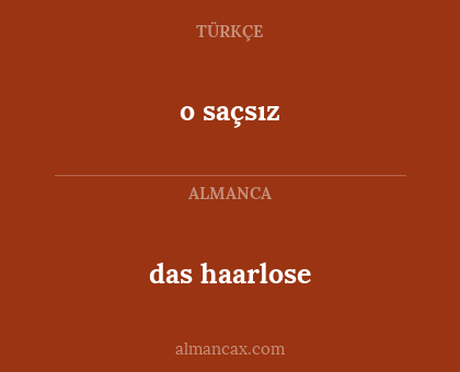 das haarlose - o saçsız