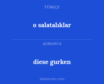 diese gurken - o salatalıklar