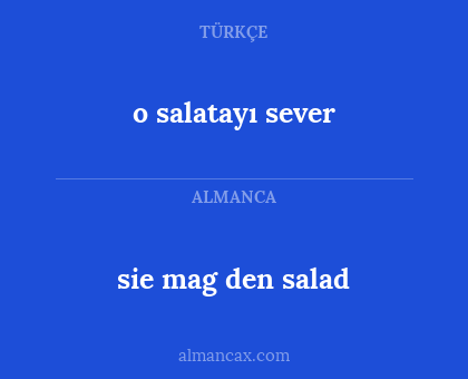 sie mag den salad - o salatayı sever
