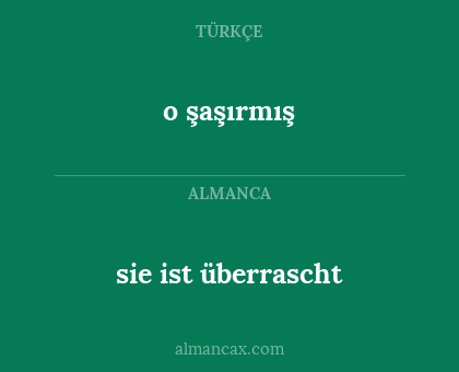 o şaşırmış - sie ist überrascht