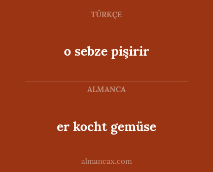 o sebze pişirir - er kocht gemüse