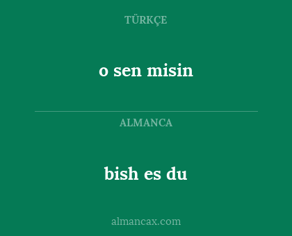 o sen misin - bish es du
