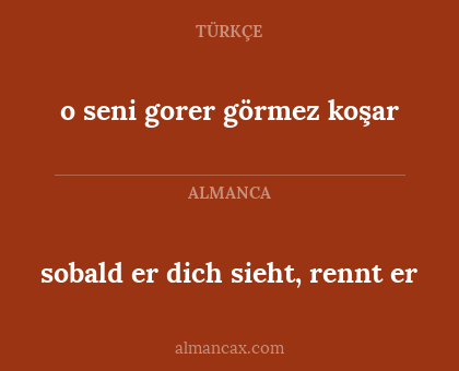 o seni gorer görmez koşar - sobald er dich sieht, rennt er